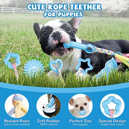 ABRRLO 6 Pack Puppy Teething Toys Cute Blue Puppy Chew Toys for Teething Small Breed Dog Chew Toy Interactive Pet Toy Set for Puppies to Keep Them Busy Soft Durable Small Breed Doggy Chewing Ball - color: Blue