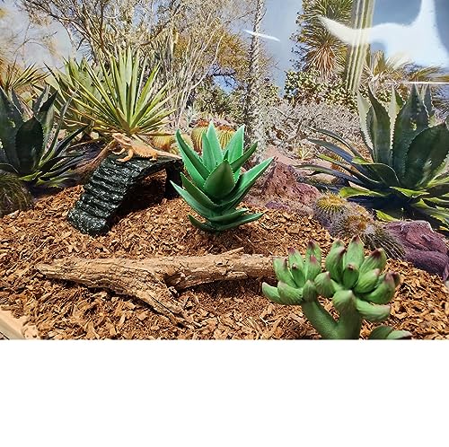 Small Animal Bedding – 20 L –– Coco Chip Fiber Bedding Substrate for Guinea Pig, Hamster, Rabbit, Bunny Litter, Tortoise, Turtle, Reptile, Snake Habitat - Activated Charcoal Odor Control