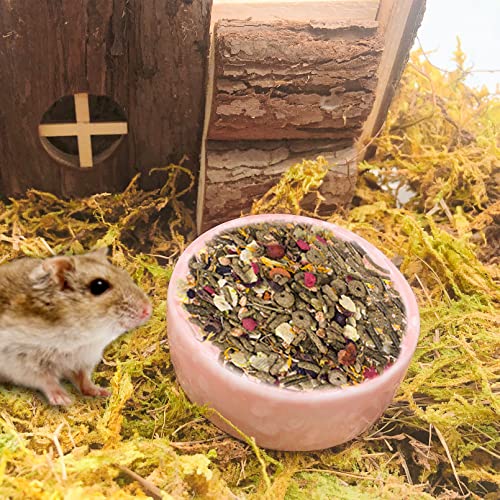 kathson 2 Pcs Hamster Food Bowl Guinea Pig Ceramic Water Bowl Small Animal Feeding Dish for Dwarf Hamster Gerbil Syrian Ferret Hedgehog Chinchilla Bunny (Pink)… - color: Pink, size: 2Pcs:S