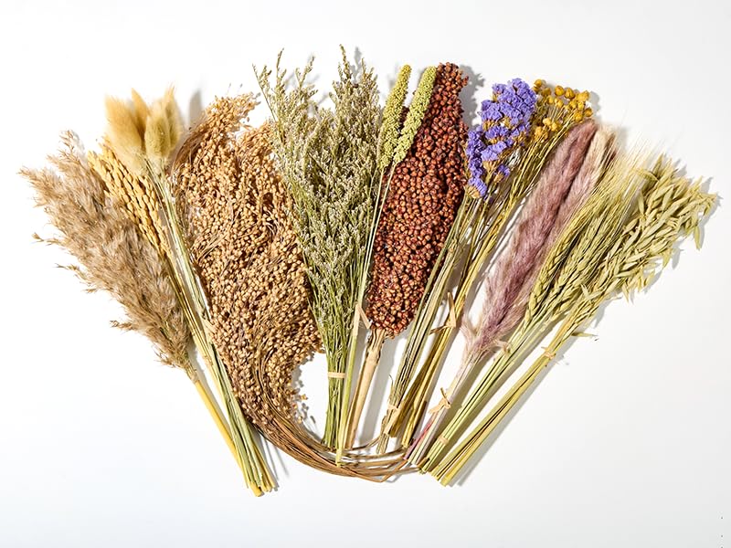BUCATSTATE 90PCS Natural Hamster Bedding | Flowers & Herbs & Sprays for Cage Habitat Decor - Treat Cereal Grain for Dwarf Syrian Gerbils, Mice, Rat, Forage, Enrichment. - size: 98pcs