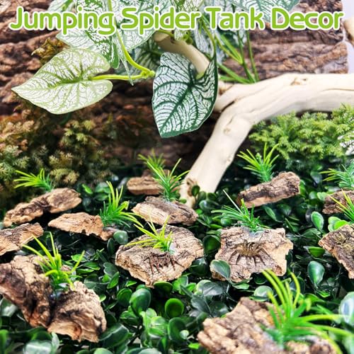 Jumping Spider Enclosure Accessories 30 Pcs Small Cork Bark for Tarantula Hide Spider Terrarium Decorations Reptiles Habitat Decor (Bark with Small Grasses)