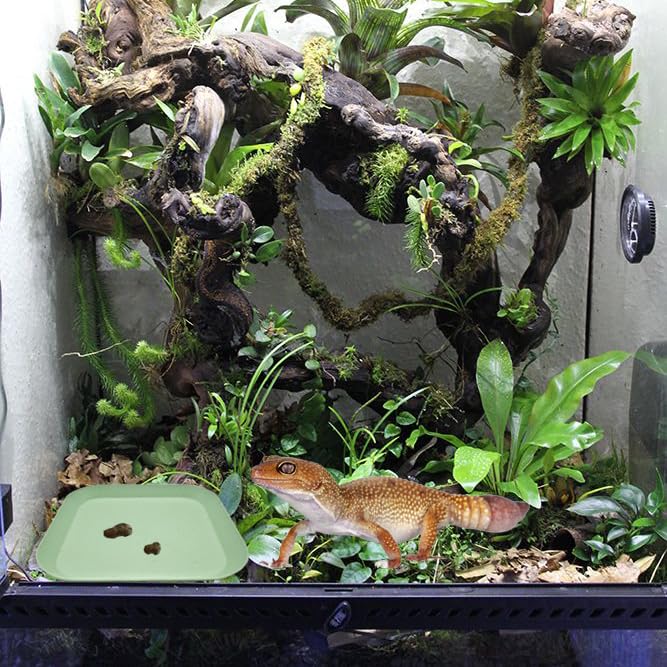 2 Pcs Leopard Gecko Potty Pad,Crested Gecko Potty Latrine，Leopard Gecko Tray，Reptile Litter Box，Portable Gecko Tank Accessories (Green) - color: Green