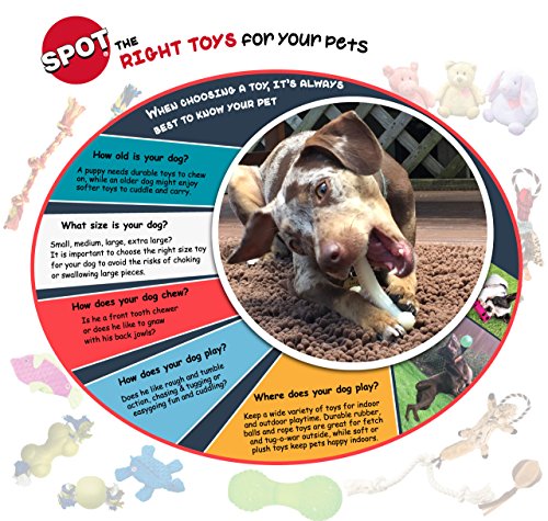 SPOT Skinneeez Flat Cat 11.5 Inch Stuffing-Free Plush Squeaky Dog Toy – Soft Interactive Toy for Mini and Small Dogs – Mess-Free Play for Light Chewers – Assorted Styles - style: Mini Flat Cat