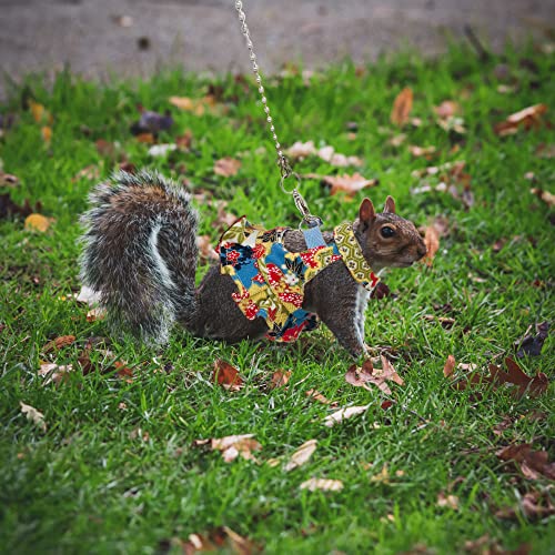 Squirrel Harness and Leash Set, Adjustable Flora Blue Printing, for Ferret, Squirrel, Dwarf Chinchilla, Guinea Pig, Fancy Rat - size: Large