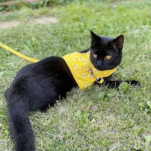 BINGPET Cat Harness and Leash Set, Escape Proof and Adjustable, Medium | Step-in Vest, Lightweight Soft Breathable Mesh, Hook & Loop, Easy Control for Small & Medium Cats Walking Travel - color: Bee, size: Medium