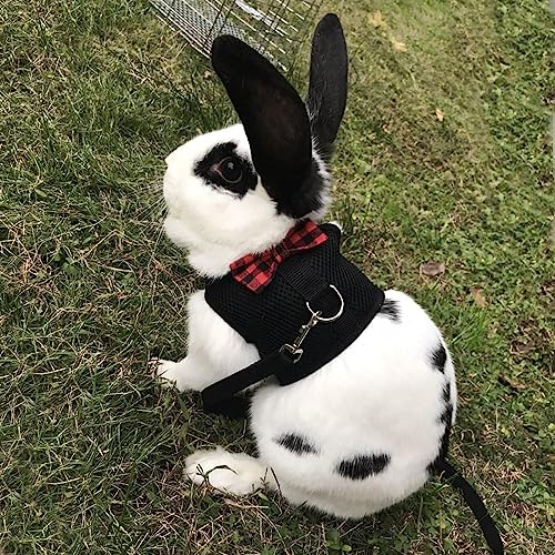 Hypeety Bunny Kitten Harness No Pull Cat Leash Stylish Vest Harness for Small Animal Adjustable Soft Breathable Walking Harness Set (Black, S) - color: Black, size: S