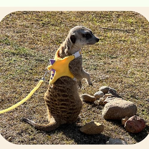Ferret Harness and Leash Set Small Animals Vest Harness with Safe bell Dinosaur Shaped Walking clothes for Baby Rabbit Guinea pig Teacup Chihuahua Mouse and other small pet.(Yellow Dinosaur) - color: Yellow Dinosaur
