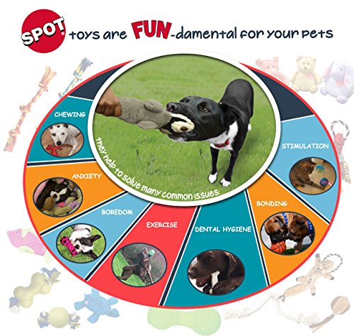 SPOT Skinneeez Flat Cat 11.5 Inch Stuffing-Free Plush Squeaky Dog Toy – Soft Interactive Toy for Mini and Small Dogs – Mess-Free Play for Light Chewers – Assorted Styles - style: Mini Flat Cat
