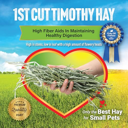 Small Pet Select 1st Cut Timothy Hay Pet Food for Rabbits, Guinea Pigs, and Other Small Animals, Easy to Store Box, 10 LB | High Fiber Natural Hay, Grown in USA, Long Coarse Strands for Dental Wear, For Chinchillas, Hamsters, Bunnies & Small Pets - size: