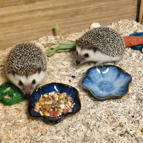 Kathson Ceramic Hamster Food Bowl, Guinea Pig Food Bowls,Rats Anti-Turning Feeding Dish,Small Animals Water Drinking Bowls for Squirrel, Chinchilla, Hedgehog, Gerbil, Dwarf Syrian (4 pcs Lotus Leaf) - size: 4Pcs Lotus Leaf