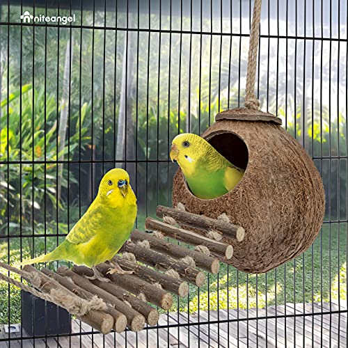 Niteangel Natural Coconut Hideaway with Ladder, Bird and Small Animal Toy (House with Ladder, Natural Surface) - color: Natural Surface
