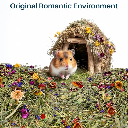 Sukh Hamster Bedding Odor Control - 200G Flowers & Herbs for Small Animals | Natural Habitat Decor and Forage Material for Dwarf Hamster, Chinchilla, Guinea Pig, Rabiit, Gerbil, Mice, Lemming