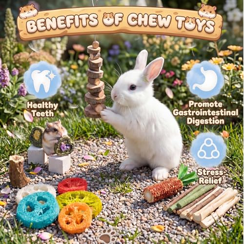 Leitee 30 Pcs Hamster Toys Set Small Animal Chew Toys Teeth Care Wooden Accessories Applewood Timothy Hay Mouse Toy Swing Seesaw Bridge for Guinea Pig, Chinchillas, Gerbils, Mice, Rats