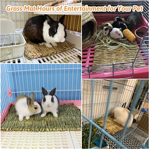 Hamiledyi Grass Mat Woven Bed Mat for Small Animal 5 Grass Mats Bunny Bedding Nest Chew Toy Bed Play Toy for Guinea Pig Parrot Rabbit Bunny Hamster Rat