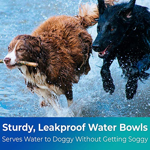 Vet-Grade Biodegradable Disposable Pet Bowls Bulk 50Pk 8Oz/1 Cup. Recycled Wheatstalk Material, Non-Toxic Food and Water Dishes for Puppies, Small Dogs or Cats. Sturdy and Leakproof for Healthy Pets! - size: 50 Pack