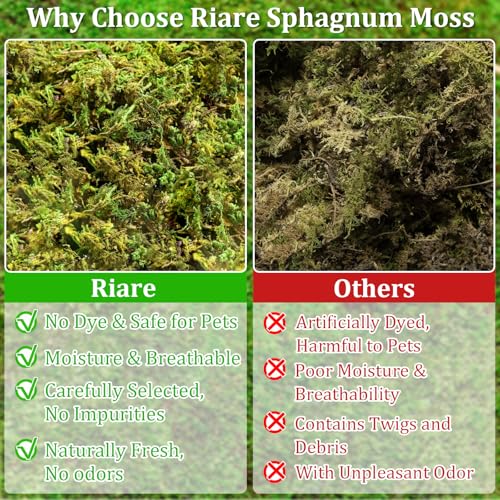 Riare 7OZ Natural Sphagnum Moss for Reptiles-10QT Soft Reptile Moss Bedding | Moisture Retaining, Terrarium Moss Reptile Substrate for Tortoises, Turtle, Snakes, Leopard Geckos, Frogs, Orchids Plants - color: 7OZ