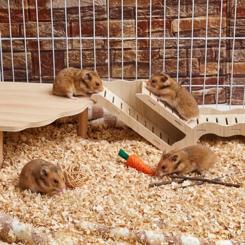 2 Pcs Wooden Hamster Platform with Ladder & Tunnel for Gerbils, Rats, Mice, Syrian Hamsters Burrowing Climbing, Hamster Cage Accessories, Habitat Enrichment Decor(Wooden Ladder Burrow) - style: Wooden Ladder Burrow