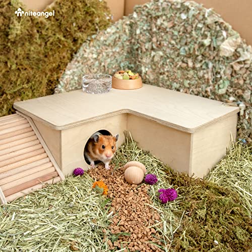 Niteangel Multi-Chamber Hamster House Maze: 1 Entrance 3 Rooms Maze Habitat | No-Disturb Removable Lid - Encourage Pets Hide and Explore Freely Hideout & Tunnel Maze Toys for Hamster Gerbils Mice Lemming - size: 3-Room Large