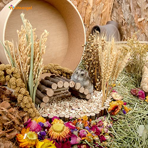 Niteangel Natural & Soft Hamster Bedding Mate Small Animal Habitat Decor for Syrian Dwarf Hamsters Gerbils Mice Degus Bunny or Other Small-Sized Pet - size: Harvest Version