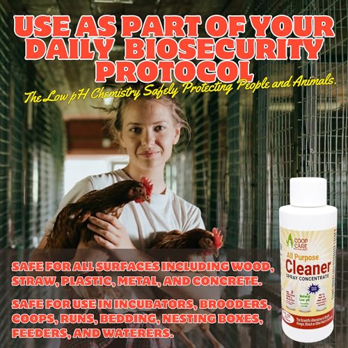 Chicken's Choice Chicken Dust Bath, 6 lb Natural Volcanic Ash Dust Bath for Chickens. Dust Mix for Healthy Chickens, Chinchillas, Small Animals. Made in The USA w/ 4 oz Coop Cleaner (Makes 32 oz)