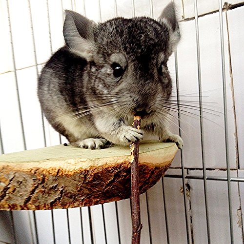 sharllen 400g (14.10oz) Natural Apple Sticks Wood Tree Branches Pet Snacks Chew Toys for Rabbit Hamsters Guinea Pig Chinchillas Squirrel and Other Small Animals by - size: 14 Ounce (Pack of 1)