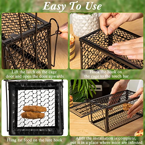 Qualirey 2 Pcs Humane Rat Trap Chipmunk Rodent Mouse Squirrel Trap,Black | 9.1 x 4.5 x 4.5 Inches Mouse Voles Hamsters Cage Rat Cage for Mice Easy to Catch and Release - color: Black