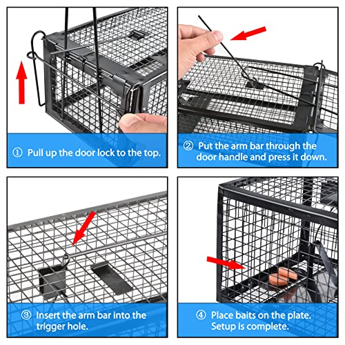 2-Pack Rat Traps Humane Live Mouse Vole Chipmunk Trap Cage (Black) | For Indoors and Outdoors, Catch and Release - color: Black