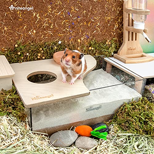 Niteangel Small Animal Sand-Bath Box: - Acrylic Critter's Sand Bath Shower Room & Digging Sand Container for Hamsters Mice Lemming Gerbils or Other Small Pets (Rectangle, Birch-Wood) | Acrylic Viewable Critter Sand Bath Shower Room & Digging Sand Containe