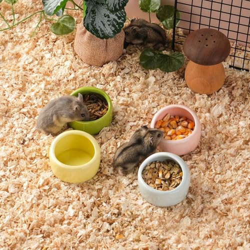 VanEnjoy 4 Pack Small Hamster Food Bowl Ceramic Guinea Pig Food Dish No Spill Hamster Food and Water Bowl Small Animal Food Bowl - Pink Blue Yellow and Green - size: 2.5"*1.78"