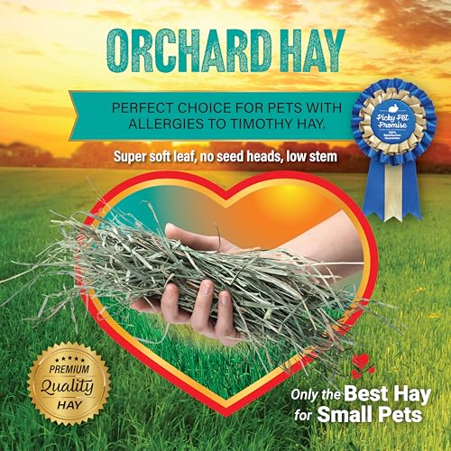 Small Pet Select Orchard Grass Hay Pet Food, 20 Lb. - size: 20 Pound (Pack of 1)