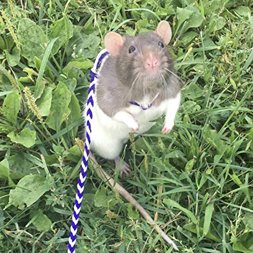 Adjustable Rat Leash Hamster Leash with Bell Harness for Ferret Mouse Squirrel Small Animal (Random)