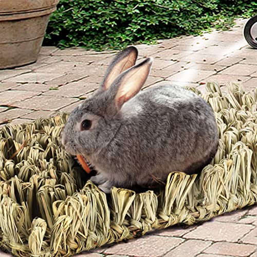 Hamiledyi Rabbit Grass Bed Bunny Natural Woven Foraging Mat Guinea Pig Hay Mat Enrichment Toy Scratch Pad for Chinchilla Squirrel Hedgehog(10.6x7.5x3.5inches) - size: 1PCS