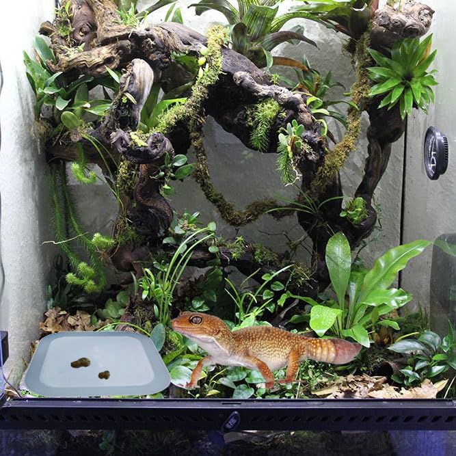 2 Pcs Leopard Gecko Potty Pad,Crested Gecko Potty Latrine，Leopard Gecko Tray，Reptile Litter Box，Portable Gecko Tank Accessories (Blue) - color: Blue