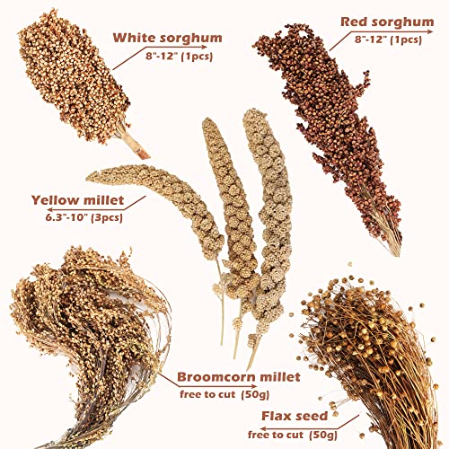 Natural Ear of Grain Flower&Herb Bedding Mate Habitat Decor, Adding Fun Hamster Accessories for Hamsters Gerbils Lemming - color: Grain
