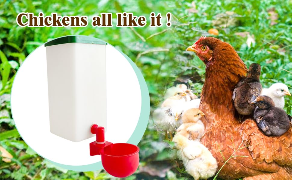 Automatic Waterer System Chick Drinker Cups 1L Hanging Automatic Fill Poultry Watering Cup Used for Cages (1)