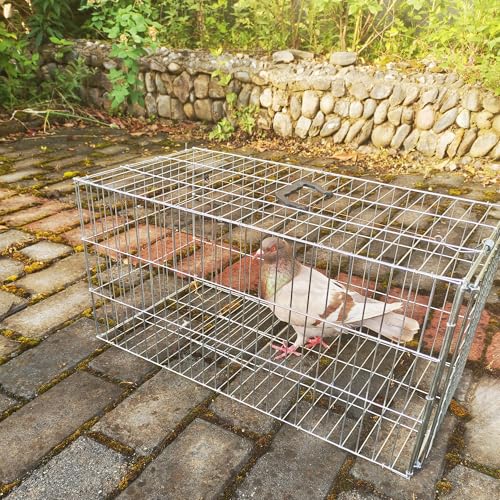 Animal Trap Cage Pigeon Squirrel Racoon Outside Trapping Live Small Animal Bird Trap Cage - size: 23.6"*11.8"*11.8"/Medium