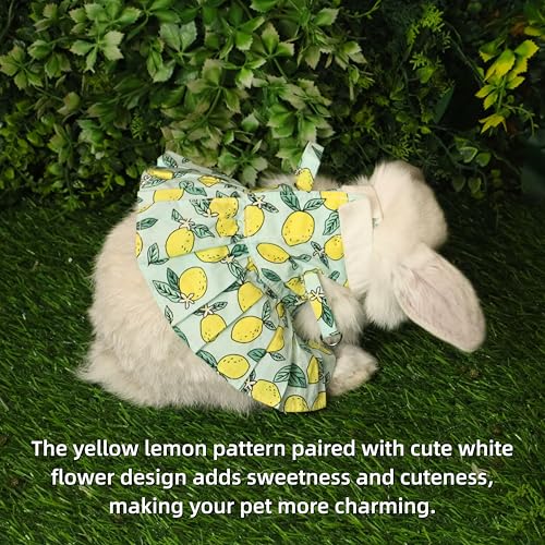 SMOLKITH Rabbit Clothes - Bunny Adjustable Summer Lemon Print Dress with Leash, Small Animal Apparel for Walking - Fits Meerkats, Chinchillas, Guinea Pigs, Marmots and More - color: Summer Lemon Print Dress