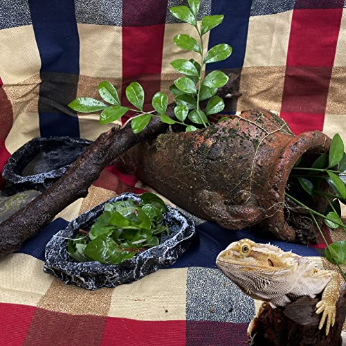 Reptile Feeding Dish 2 Pack Food Dish with Breadworm Feeding for Dragon Leopard Gecko Lizard Spider Scorpion Chameleon (2 Pcs, Deep Color) - color: 2 Pcs deep color