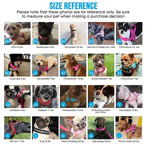 Lukovee Small Dog Harness and Leash Set, No Pull Soft Padded Vest | Both Neck & Chest Adjustable, Reflective, Puppy Harness with 4ft Lightweight Anti-Twist Dog Leash for Small Dogs (Blue, XS) - color: Blue, size: XS ( Chest 14'' ~ 18'')