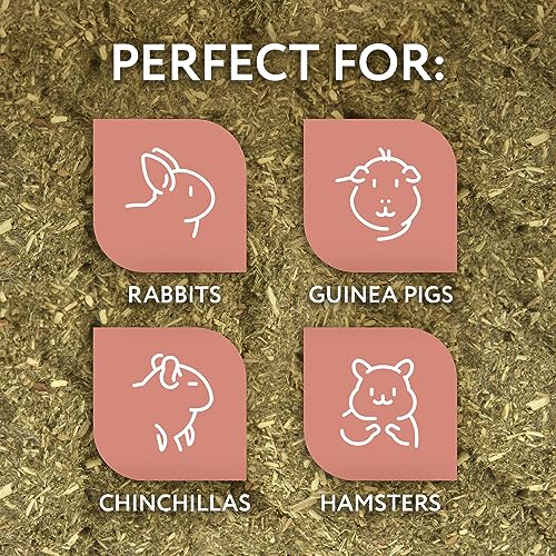Evergreen Pet Supplies Edible Chew Bowl - Dental Support & Guinea Pig Toys - Treat Play with Edible Bowls for Rabbits - Durable Chew Toy for Small Pets - Pack of 4, Green & Brown