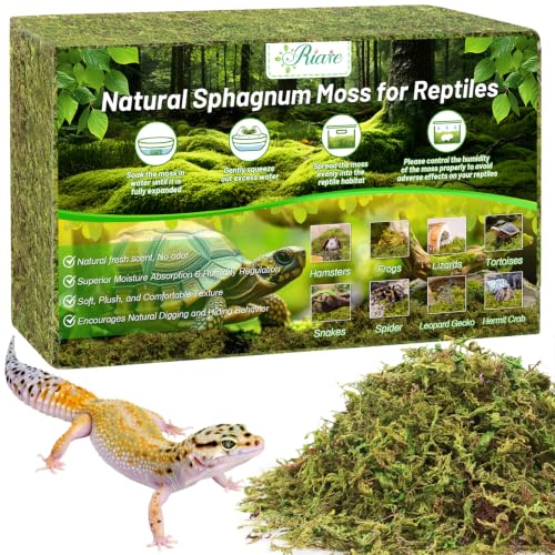 Riare 1.3LB Sphagnum Moss for Reptiles- 50QT Natural Reptile Moss Bedding | Moisture Retaining, Terrarium Moss Reptile Substrate for Tortoises, Turtle, Snakes, Leopard Geckos, Frogs, Orchids Plants - color: 1.3LBS