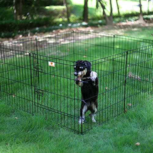 Peekaboo Dog Playpen 24 Inch, 8 Panel Foldable Rustproof Pet Fence, Black | Sturdy Metal Pet Fence,Quick Folding Setup,Indoor and Outdoor Use,Climate Pledge Friendly Choice - style: Only playpen