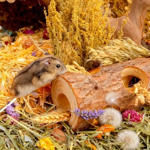 Natural Wooden Hamster Mouse Tunnel Tube Toy Forest Hollow Tree Trunk for Gerbils，Hamsters, and Mice or Other Small-Sized Pets (Double Hole)