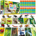 12 PCS Plastic Insect Figurines with 12 Introduction Flashcards, Small Creature Learning Recognition Cards Realistic Bug Models Educational Learning Toy Set for Kids, Classroom - style: Insect Set (including cards)