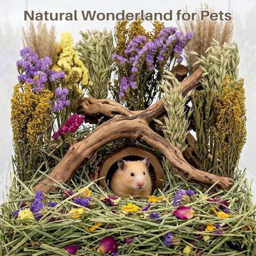 Sukh 42Pcs Hamster Sprays Natural - Sprays & Forage for Small Animals | Chew Herbs for Syrian Dwarf Hamsters & Guinea Pigs, Habitat Dry Flowers Decor, Hideout Enrichment, Cage & Bedding Accessories