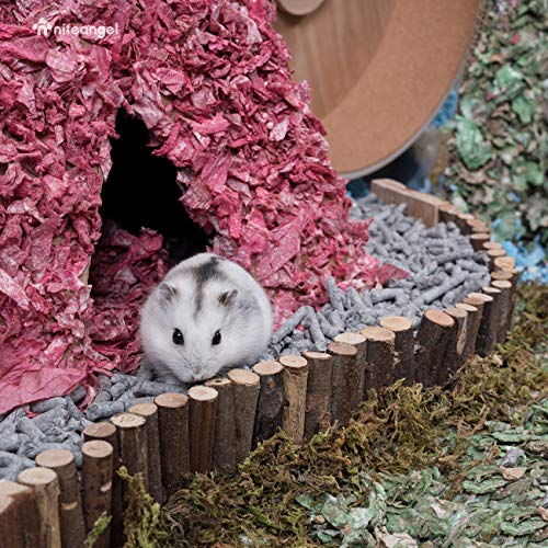 Niteangel Hamster Suspension Bridge Toy: 21.8" x 2.8" Flexible & Bendable | Enhances Coordination & Balance Long Climbing Wooden Ladder for Hamsters Mice Gerbils Sugar Glider Rat and Other Small Animal - size: 21.8L x 2.8W