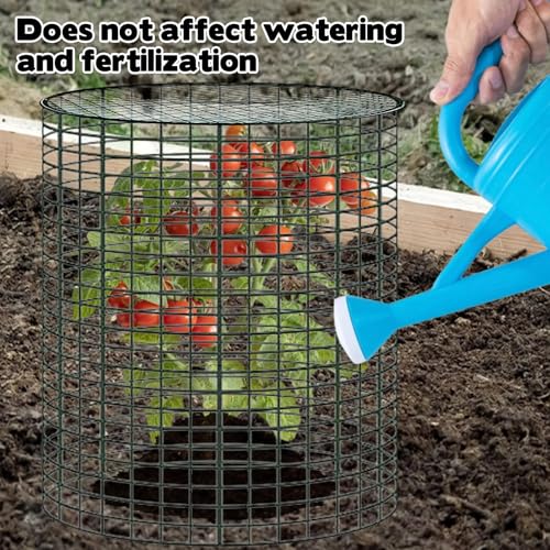 6 Sets of 24'' x 12'' Garden Plant Protectors from Animals with Detachable Covers, Metal Plant Cage Chicken Wire Cloche with Ground Stakes and Nylon Tie, Wire Plant Cage to Keeping Bunny Animals Out - size: 24x12Inch
