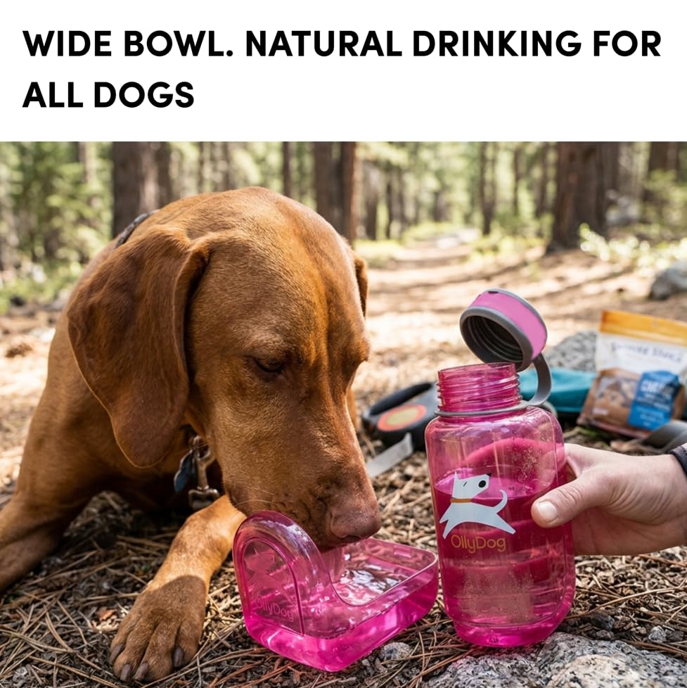 OllyDog OllyBottle Tritan Water Bottle with Detachable Dog Bowl | BPA Free Leakproof | 20oz | Share Water with Your Dog | Hiking Travel Camping (600ML, Hot Pink) - color: Hot Pink, size: 600ML