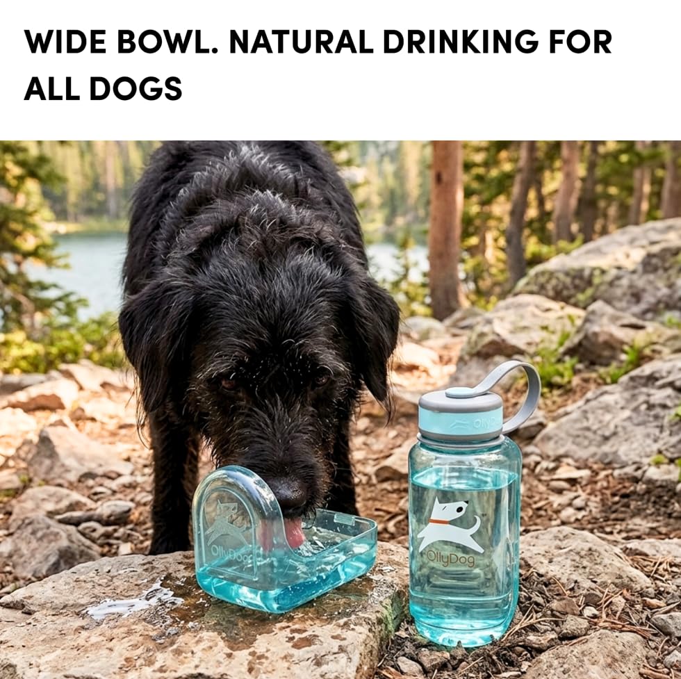 OllyDog OllyBottle Tritan Water Bottle with Detachable Dog Bowl | BPA Free Leakproof | 20oz | Share Water with Your Dog | Hiking Travel Camping (600ML, Aqua Blue) - color: Aqua Blue, size: 600ML
