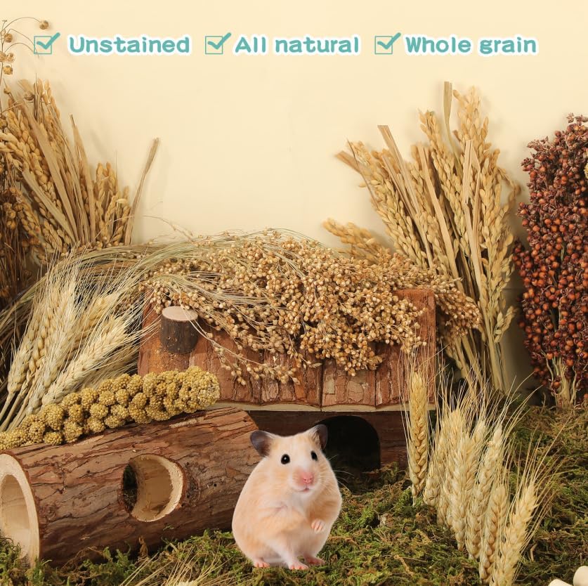 Hamster Spray Set - Natural Snack Grains & Chew Toys for Cage Decoration Accessories, Soft Bedding for Dwarf Syrian Hamsters, Gerbils, Mice & Small Pets - size: 6 Kinds of Grains